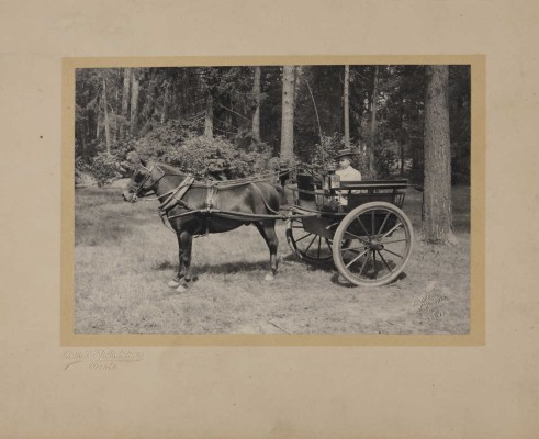 [Собрание В.Г. Лидина] Восемь фотографий из собраний В.Г. Лидина: 